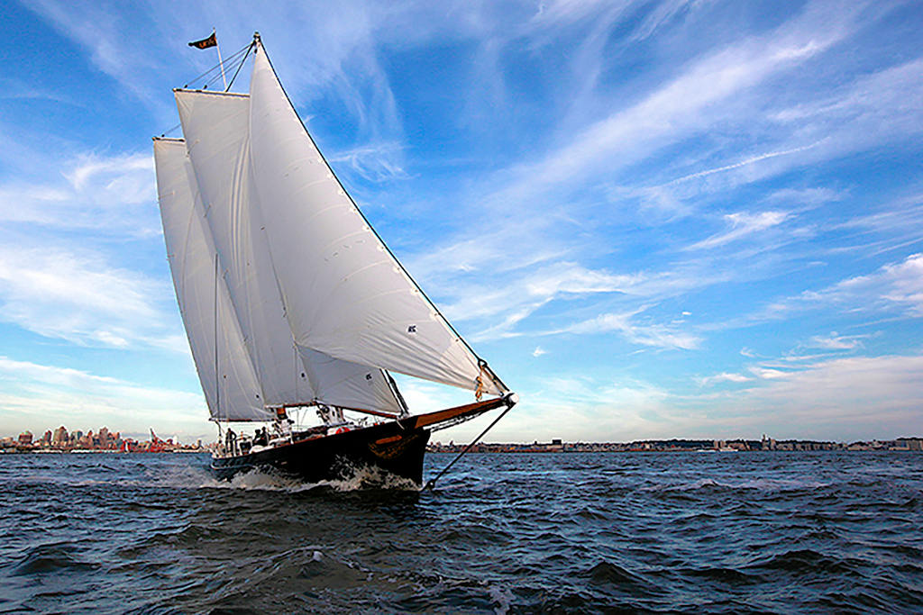 american yacht sailing
