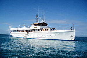 hornblower yacht rental